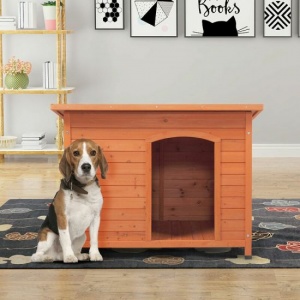 Nội thất thú cưng